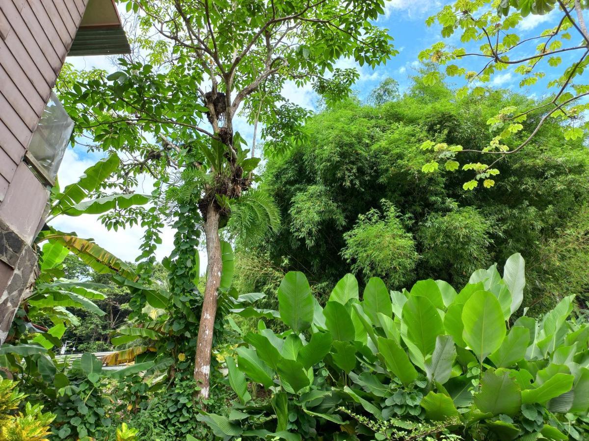 Sunrise House Bed & Breakfast Quepos Bagian luar foto