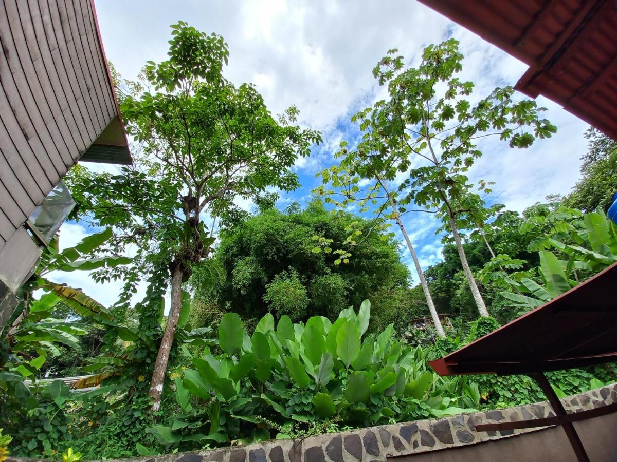 Sunrise House Bed & Breakfast Quepos Bagian luar foto