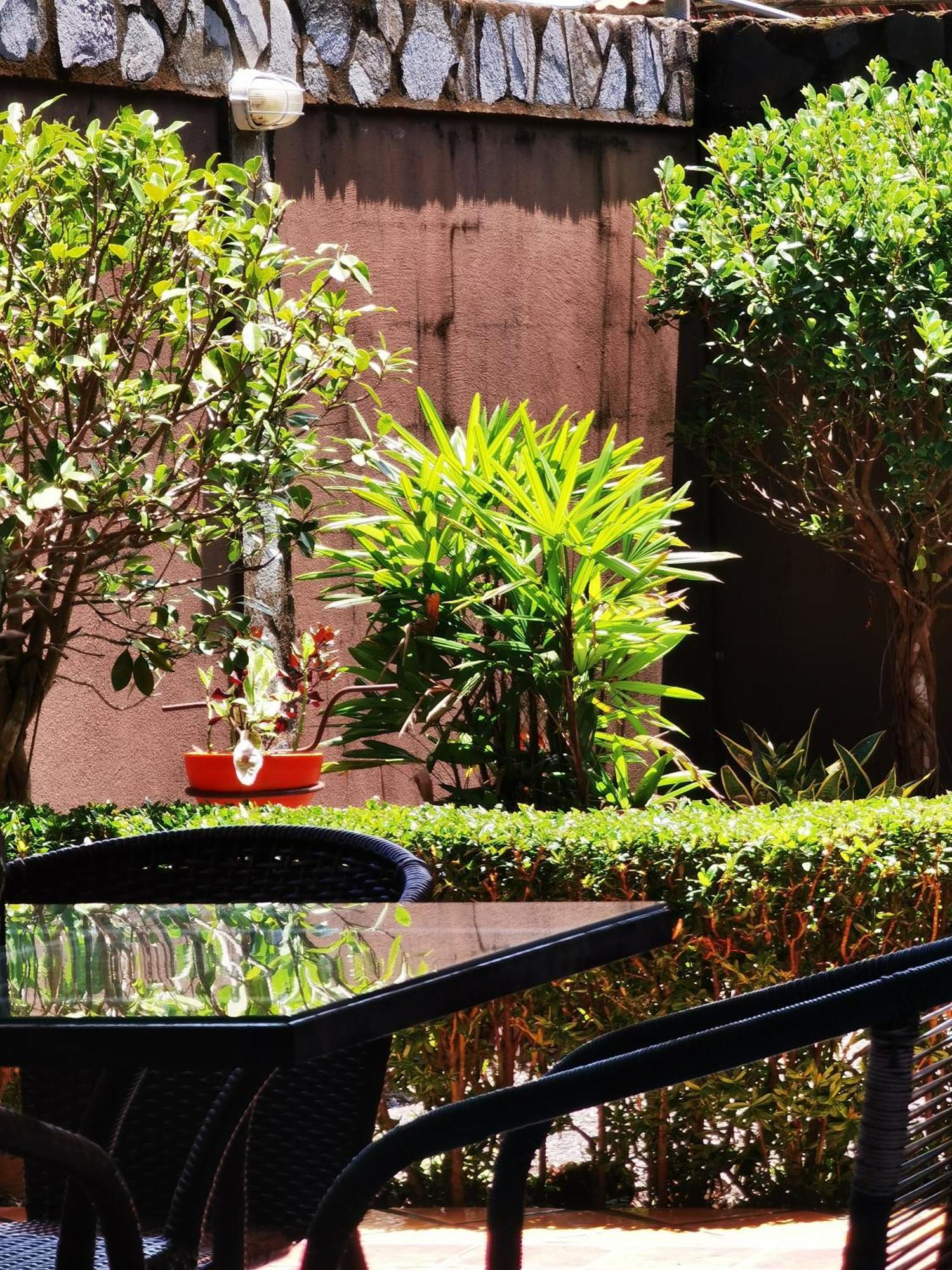 Sunrise House Bed & Breakfast Quepos Bagian luar foto