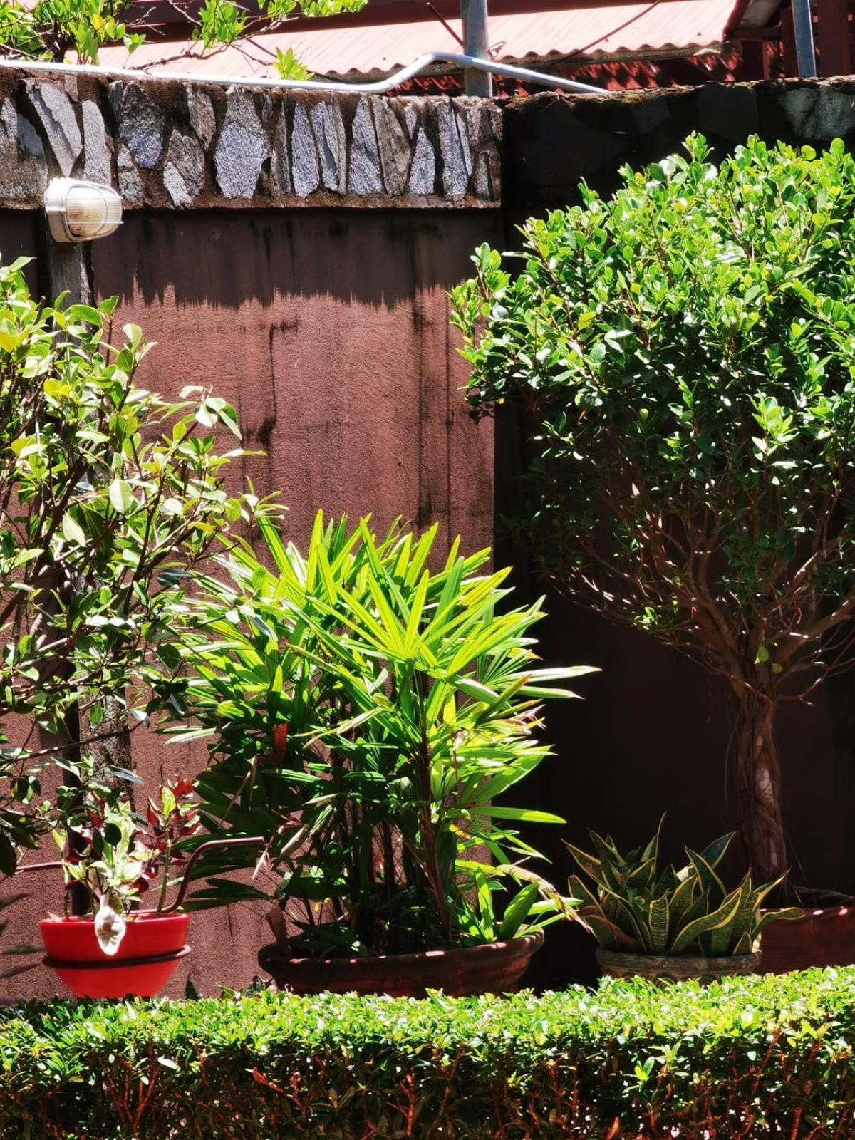 Sunrise House Bed & Breakfast Quepos Bagian luar foto